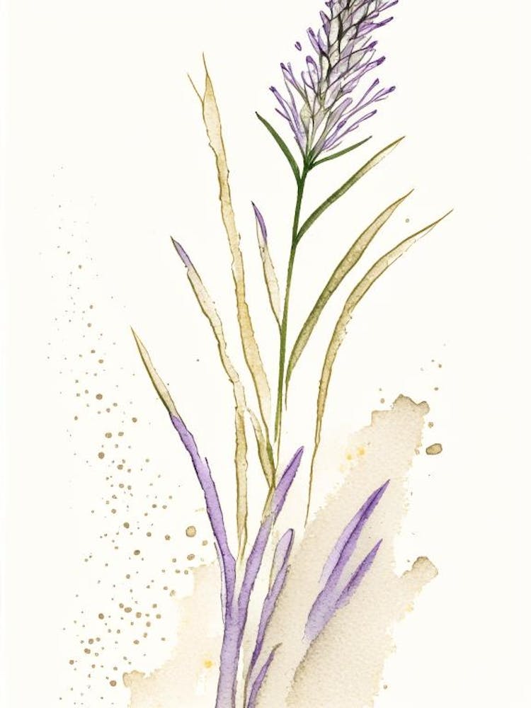 Psyllium Herb Minimalist Watercolour 2