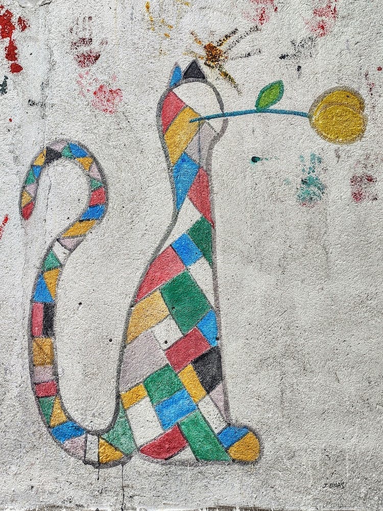 Cat With Flower