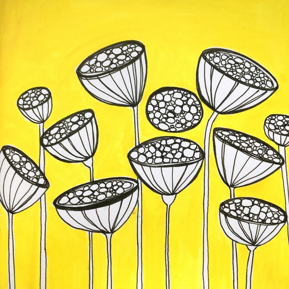Yellow Floral Illustration Bright Colourful Flowers Seed Pods