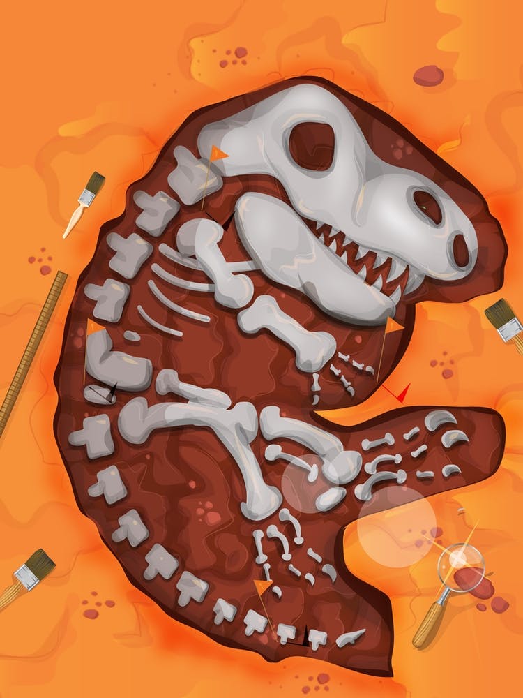 Dinosaur Skeleton