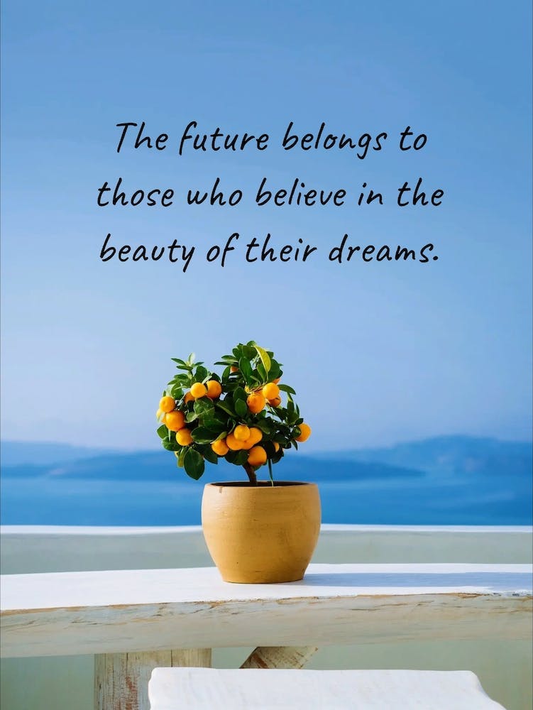 Future Belongs To Those Who Believe In The Beauty Of Their Dreams