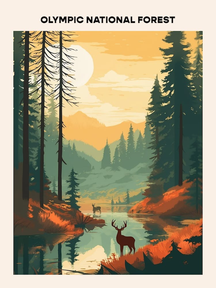 Olympic National Forest Midcentury Travel Poster