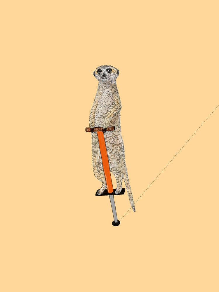 Meerkat On A Pogo Stick