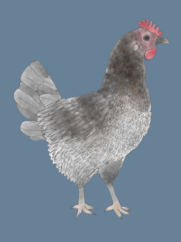 Miss Hen Chicken