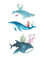 Ocean Creatures