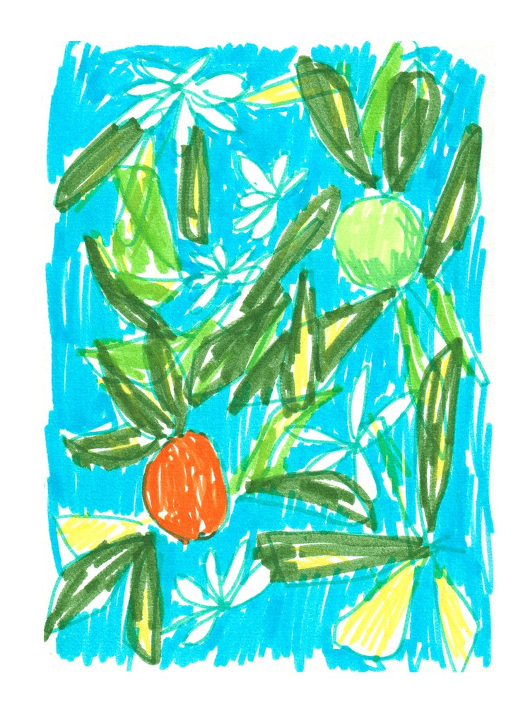 Orangenblüte