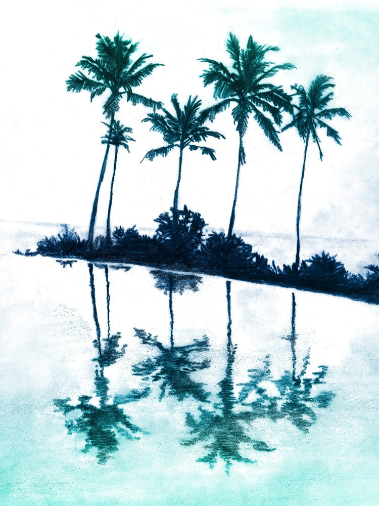 Palm Tree Reflections Teal