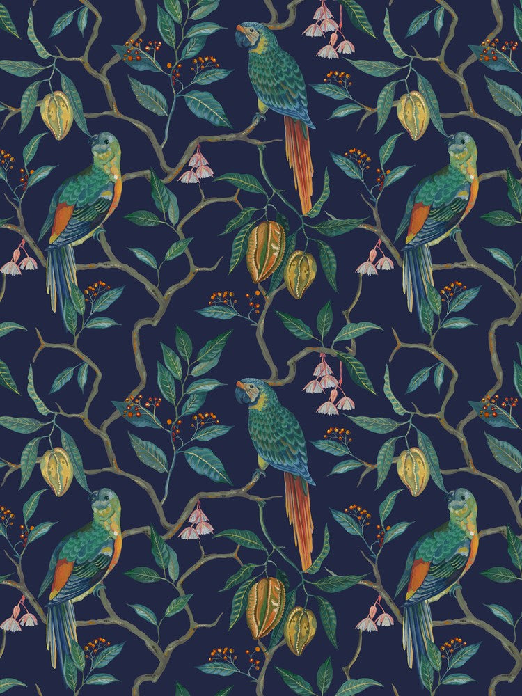Parrots
