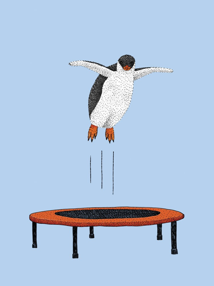 Penguin On A Trampoline