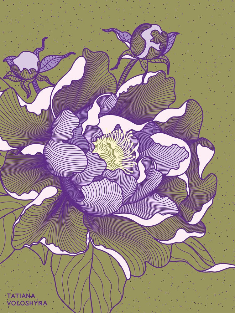 Peony Flower