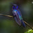 Peter Rompf