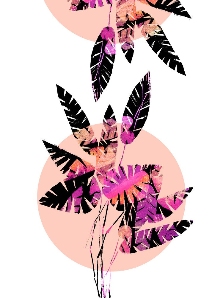 Pink Plants On Coral