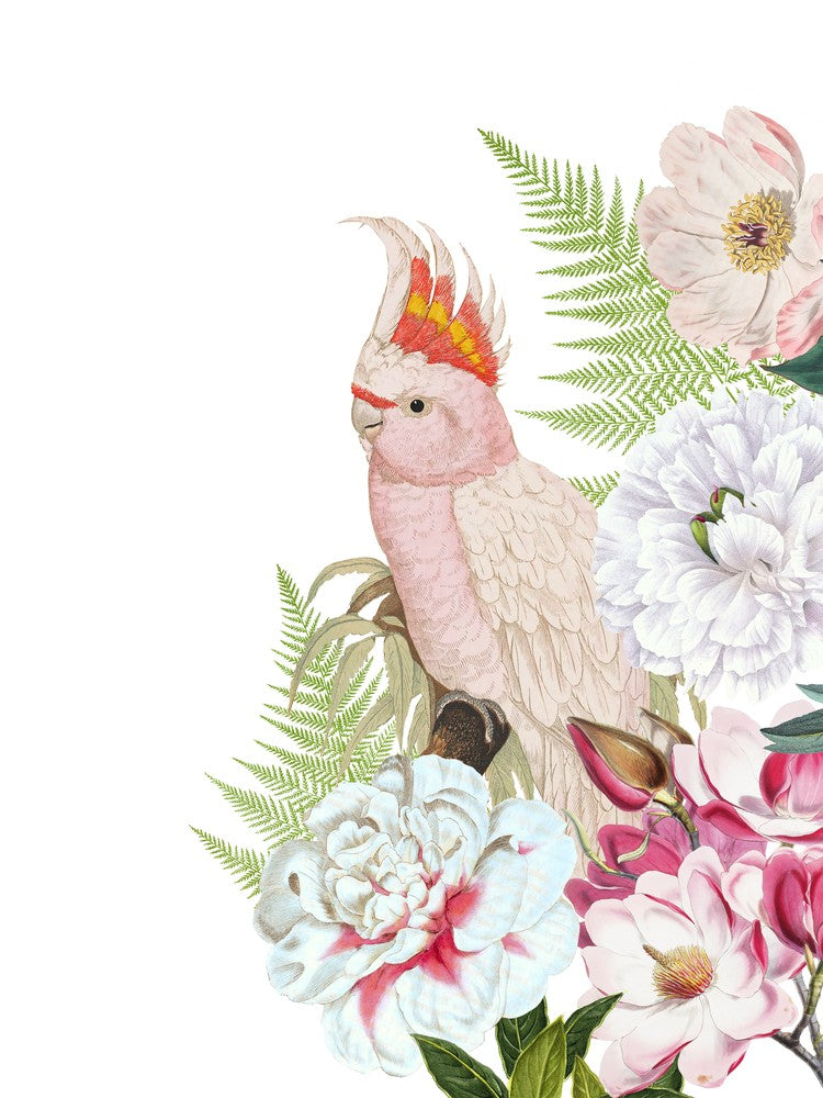 Cacatoès Floral Rose Vintage