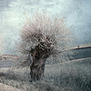 Przemyslaw Kruk