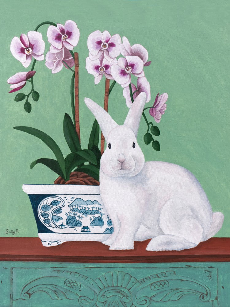 Rabbit And Orchid