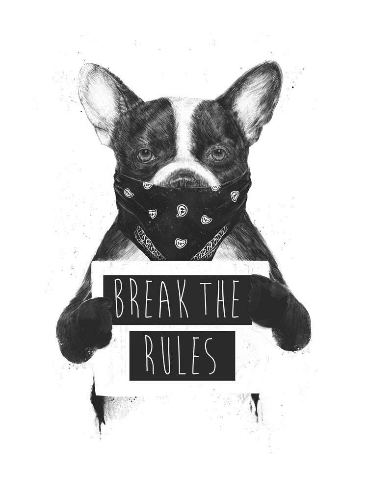 Rebel Dog