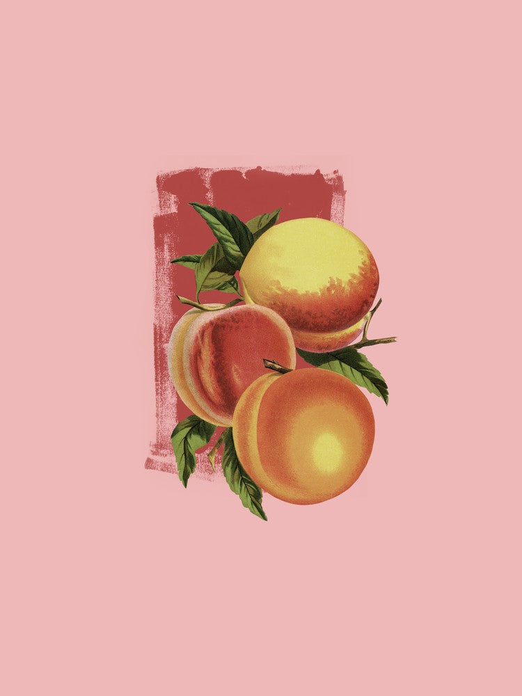 Reinvention II