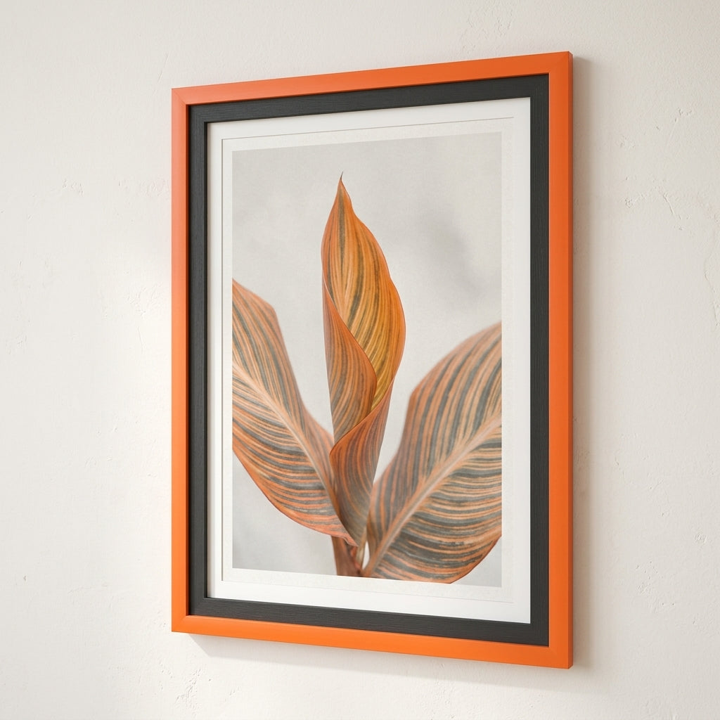 The Open Frame - Orange