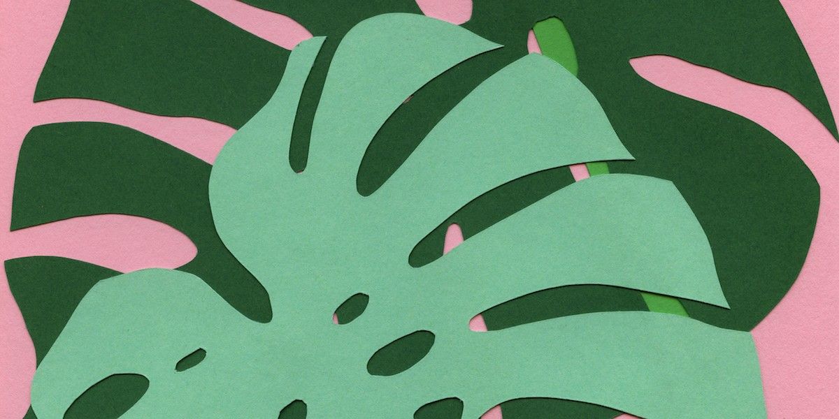 Rosi Feist Banner Image