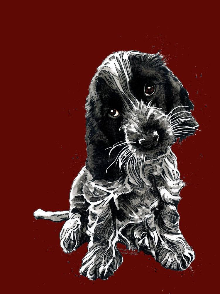 Rosie le Cocker Spaniel