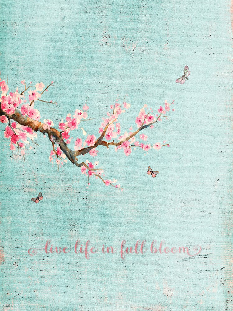 Sakura Live Life In Full Bloom