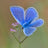 Samir. H