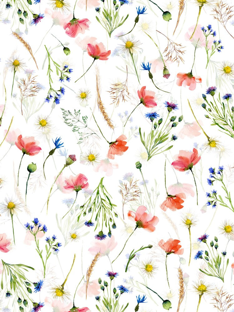 Scandinavian Midsummer Poppies And Cornflowers Wildflowers Meadow