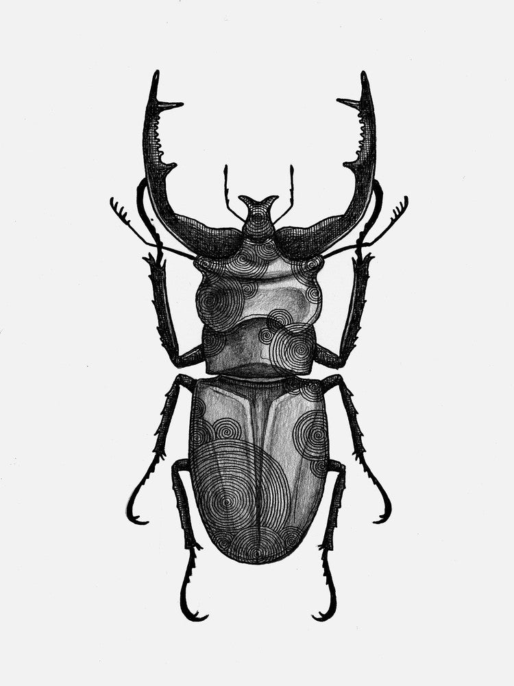 Scarabeo