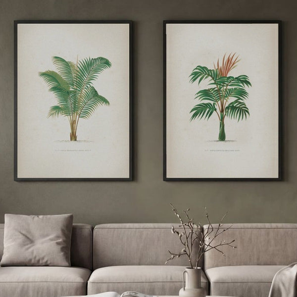 Set of 2 Emerald Canopy
