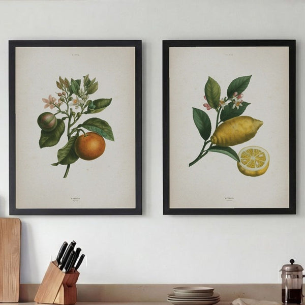 Set of 2 Orchard Zest