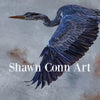 Shawn Conn Art