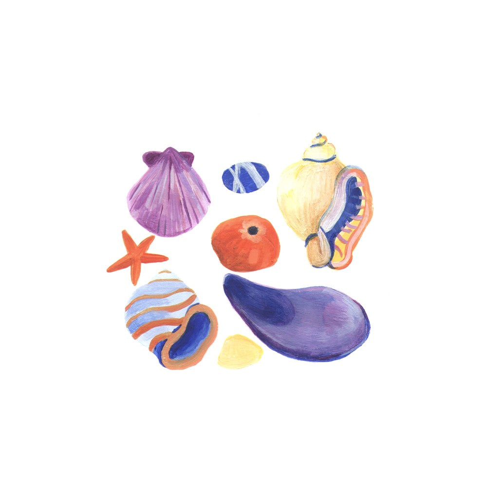 Coquillage