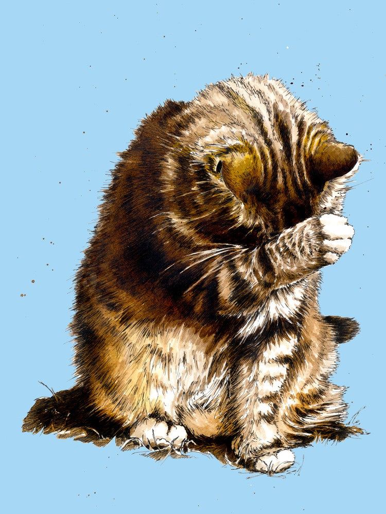 Small Fry The Cat