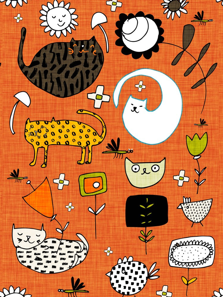 Frühlingskatze Orange