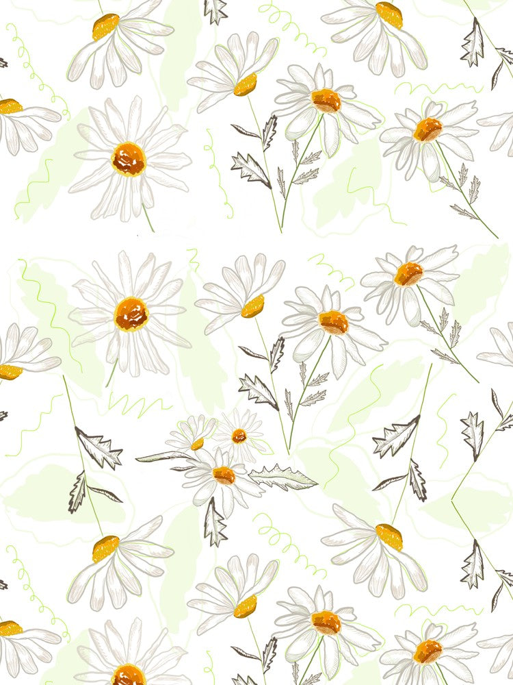 Spring Time Colorful Daisies Pattern