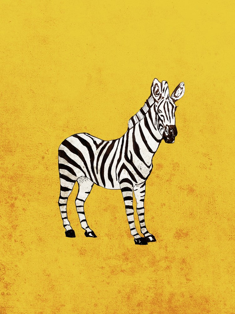 Standing Zebra