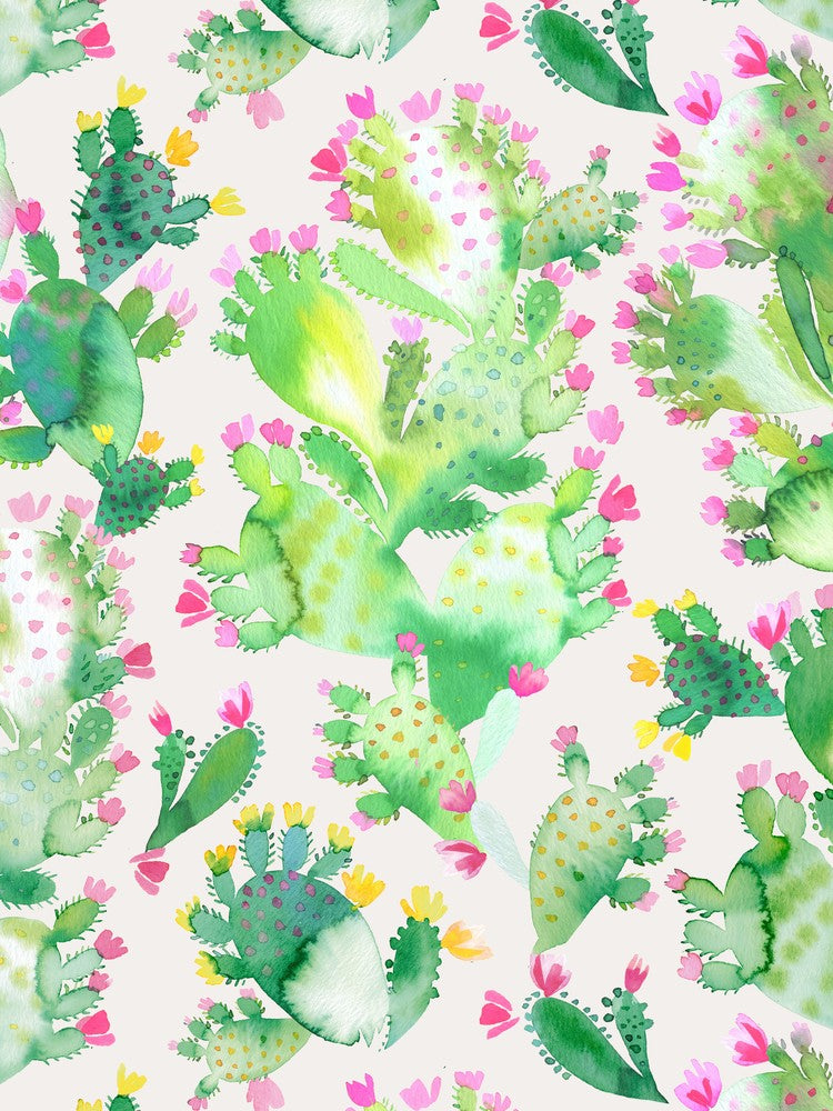 Succulent Cactus Soft Pink