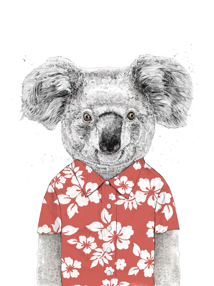 Summer koala
