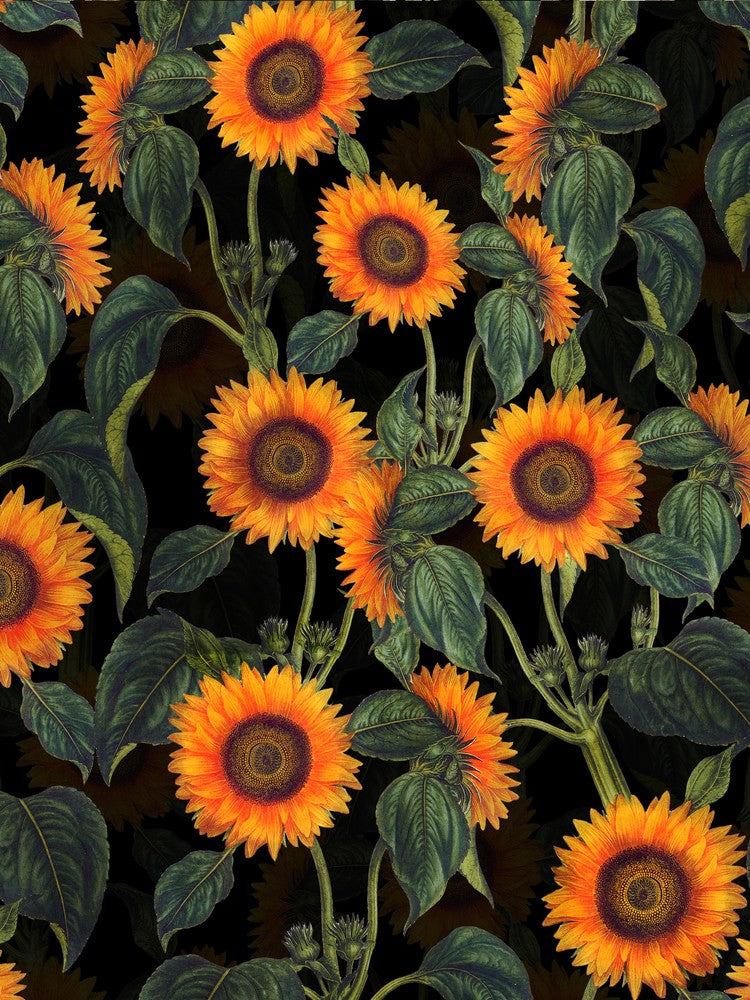 Sonnenblumen Nachtgarten