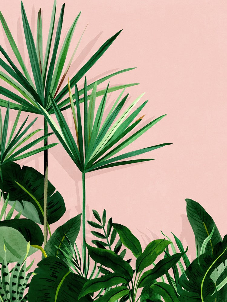 Take Me To The Tropics