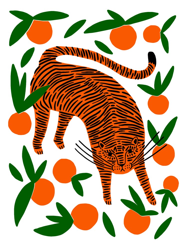 Mandarinen-Tiger