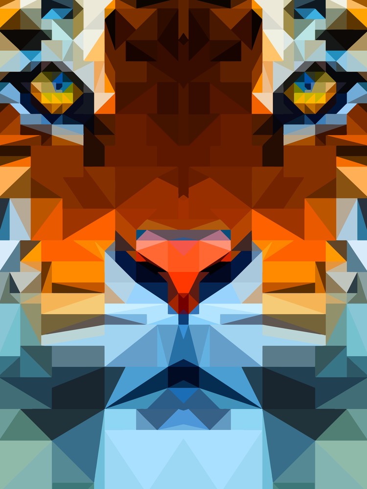 Tiger Geo