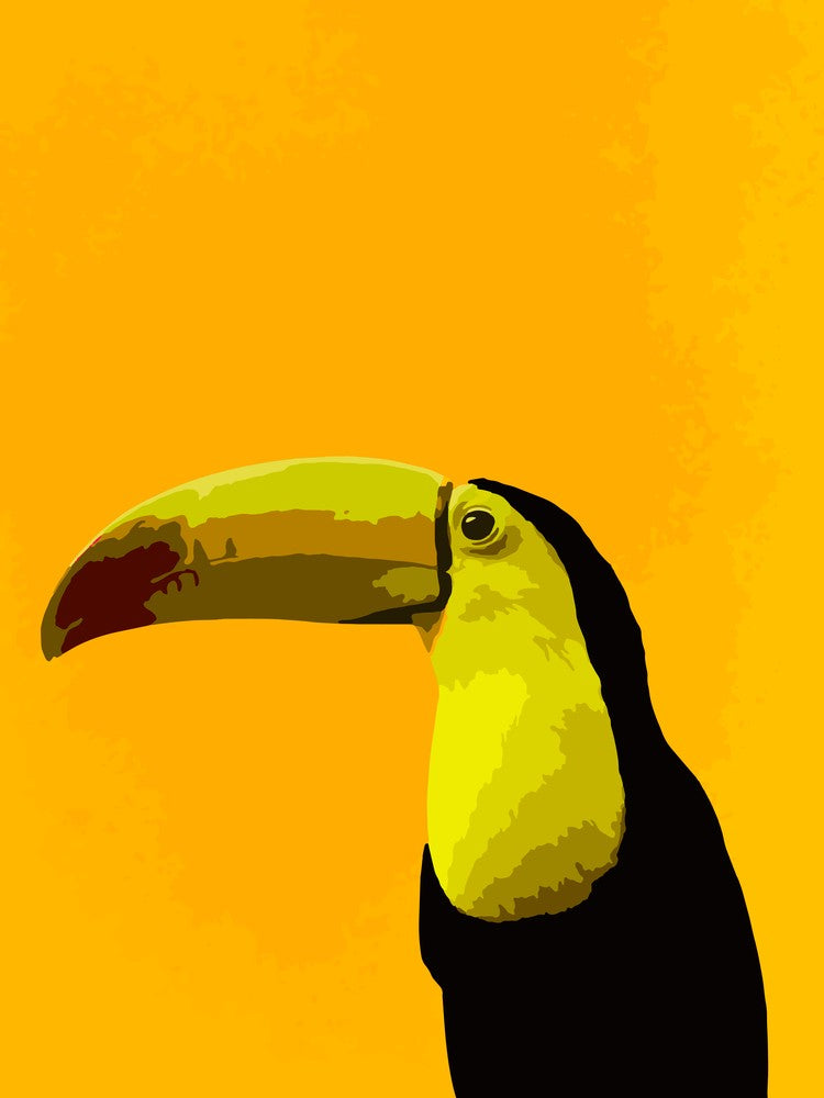 Toucan Yellow