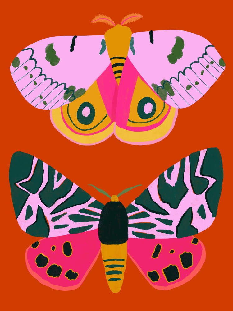 Two Moths