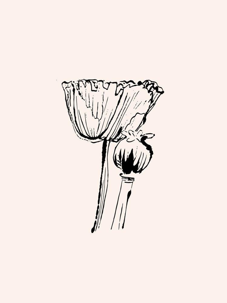 Vintage Poppies