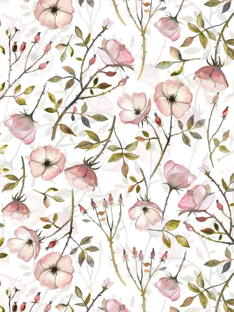 Watercolor Dog Roses