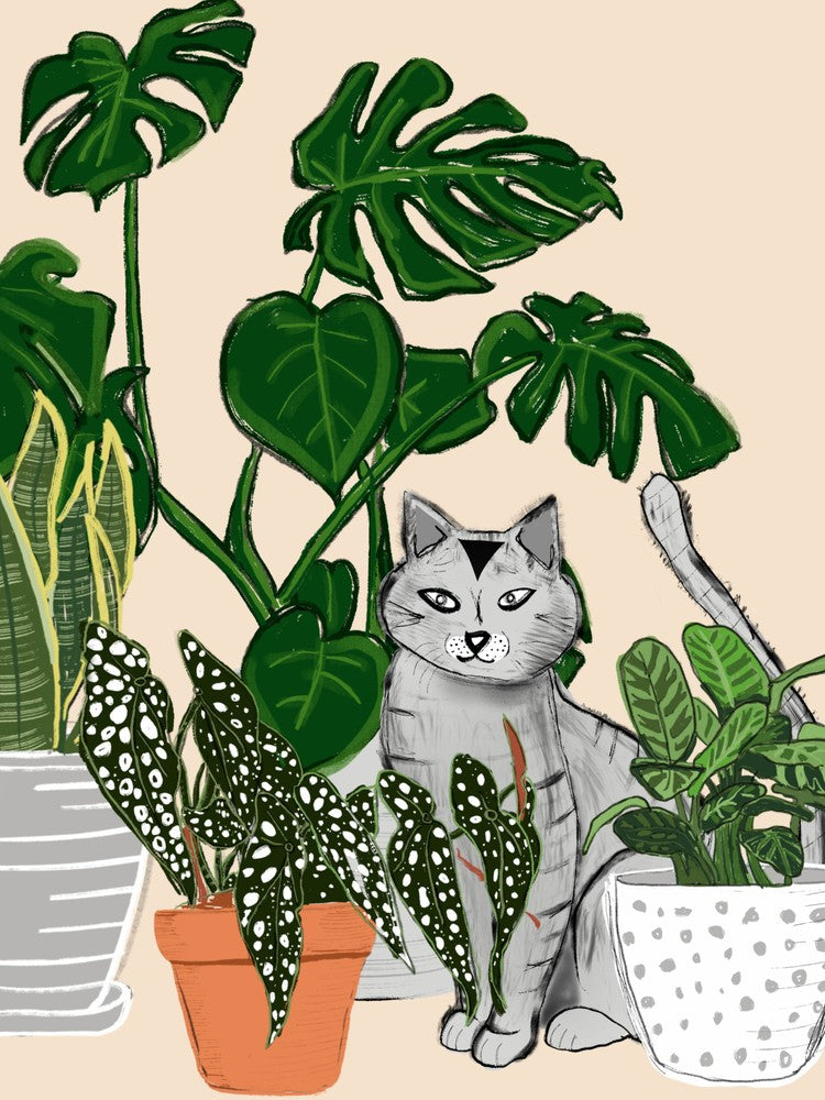 Wheres The Cat