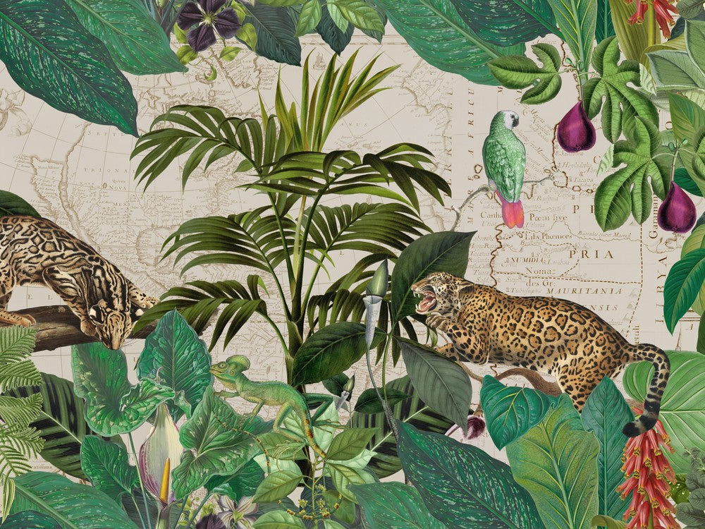 Wild Jungle Cats
