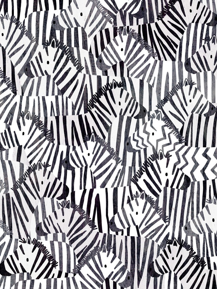 Zebra Odd One Out